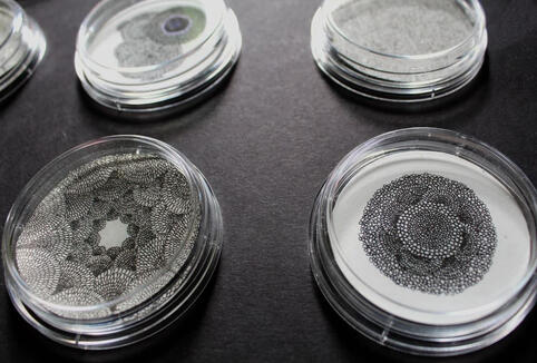 Petri Dish Drawings